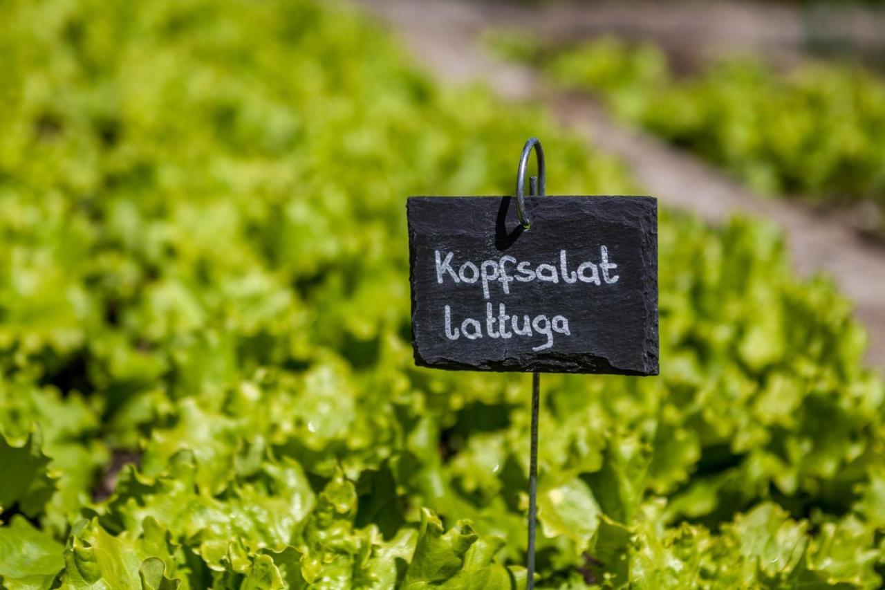 Schildhof Ebion Schildhofsuite Sankt Leonhard in Passeier Buitenkant foto